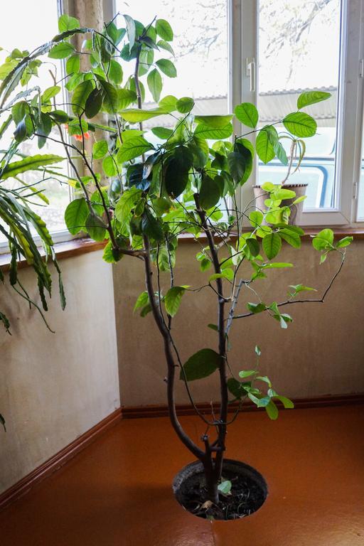 Areni House B&B Zewnętrze zdjęcie
