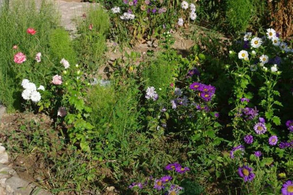 Areni House B&B Zewnętrze zdjęcie